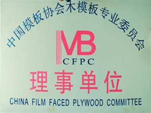 模版协会理事单位