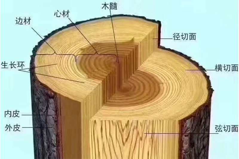木材结构